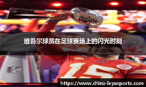 乐鱼体育
